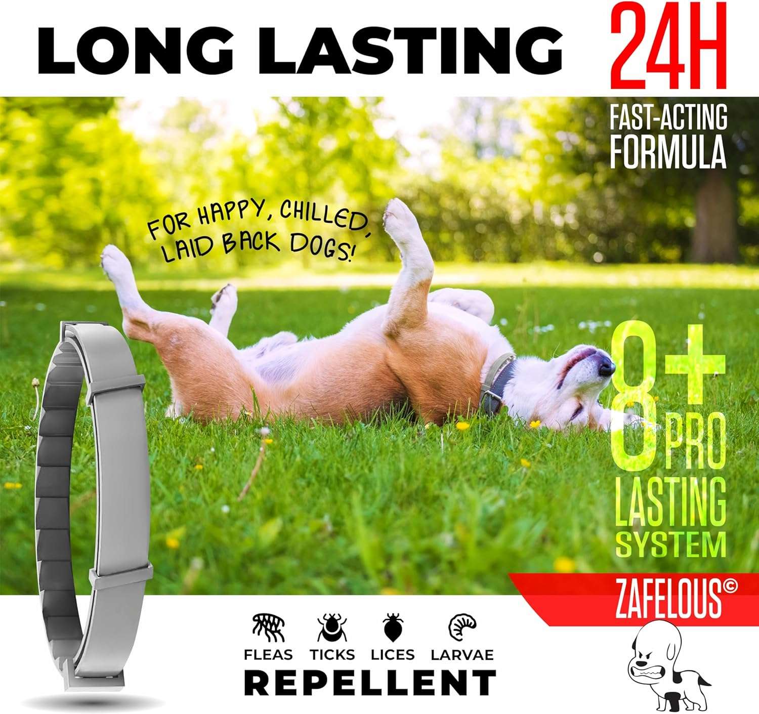 Flea and Tick Prevention for Dogs - Flea Collar - 4 Count - 3