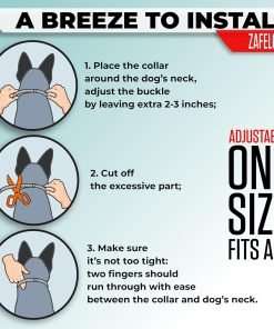 Flea and Tick Prevention for Dogs - Flea Collar - 4 Count - 4