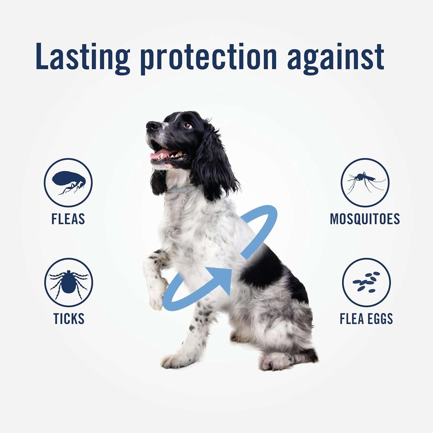 PetArmor Plus Flea & Tick Collar for Dogs, Kills Fleas & Ticks, Long Lasting Protection for 12 Months, Water Resistant, One Size Fits All, 2 Collars - 5