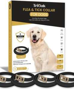 4 Pack Flea and Tick Collar for Dogs, 8-Month Protection Flea Collar for Dogs, Flea Tick Collar for Dogs, Dog Flea and Tick Collar -Black - 1
