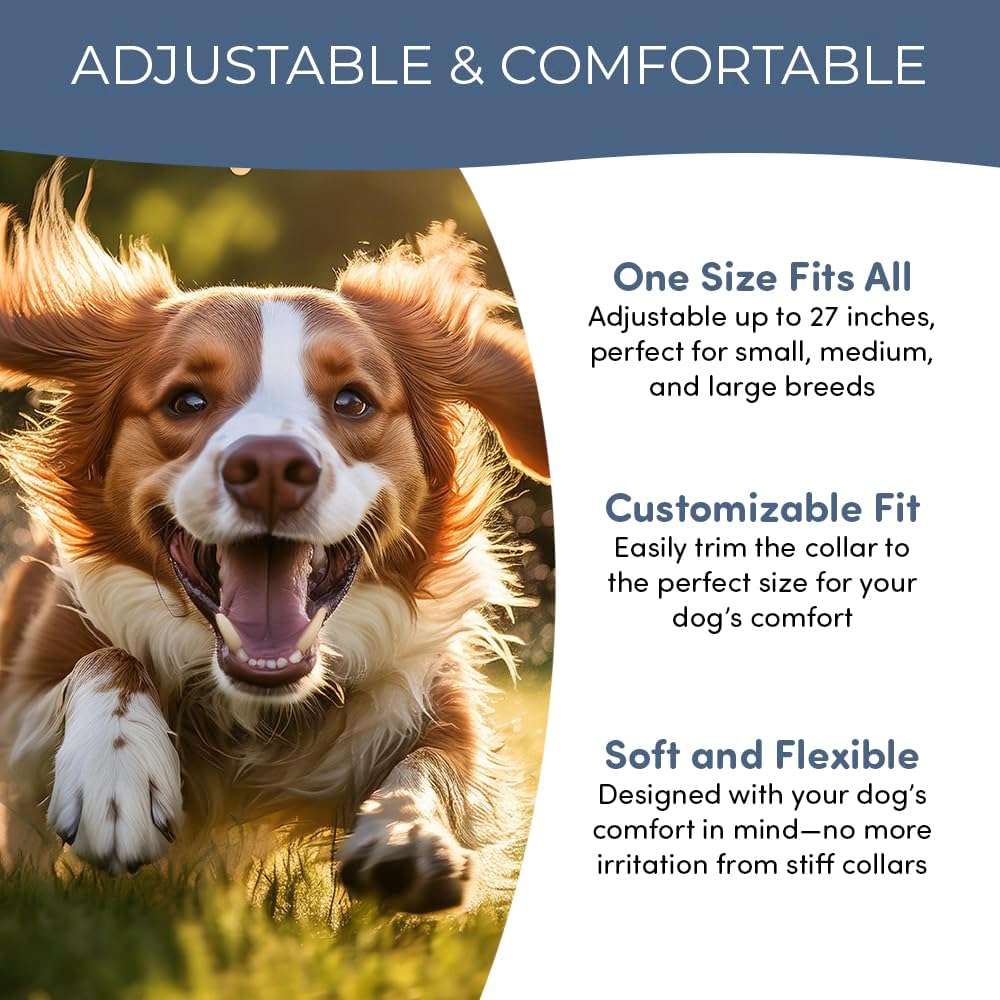 Flea and Tick Collar for Dogs and Cats- Lasts Up to 8-Months Using Natural Plant-Based Oils - Safe for Pets, People and The Environment - 2-Pack Flea Collar for Dogs and Cats - Image 5