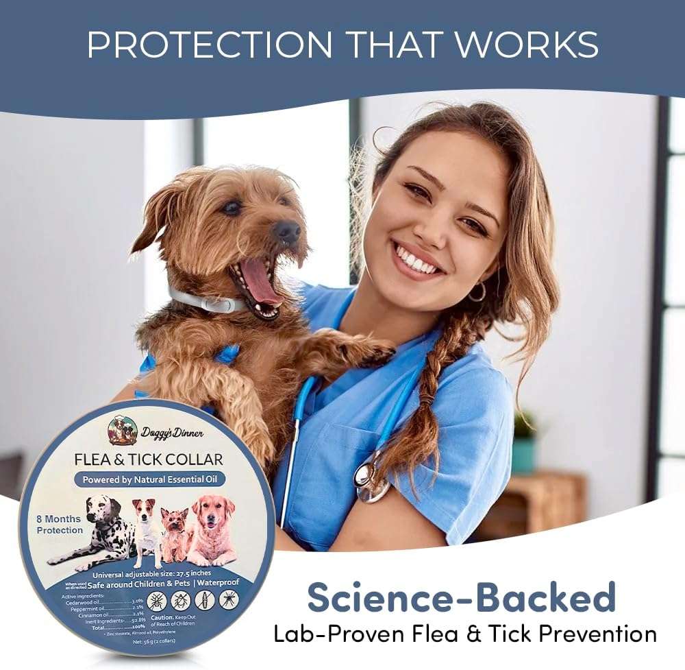 Flea and Tick Collar for Dogs and Cats- Lasts Up to 8-Months Using Natural Plant-Based Oils - Safe for Pets, People and The Environment - 2-Pack Flea Collar for Dogs and Cats - 3