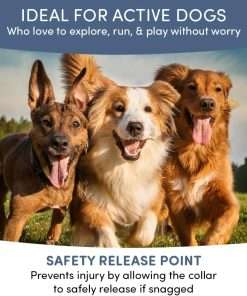 Flea and Tick Collar for Dogs and Cats- Lasts Up to 8-Months Using Natural Plant-Based Oils - Safe for Pets, People and The Environment - 2-Pack Flea Collar for Dogs and Cats - 4