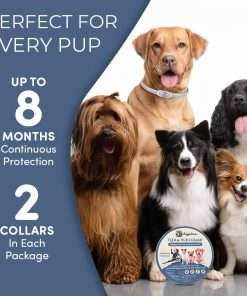 Flea and Tick Collar for Dogs and Cats- Lasts Up to 8-Months Using Natural Plant-Based Oils - Safe for Pets, People and The Environment - 2-Pack Flea Collar for Dogs and Cats - 5