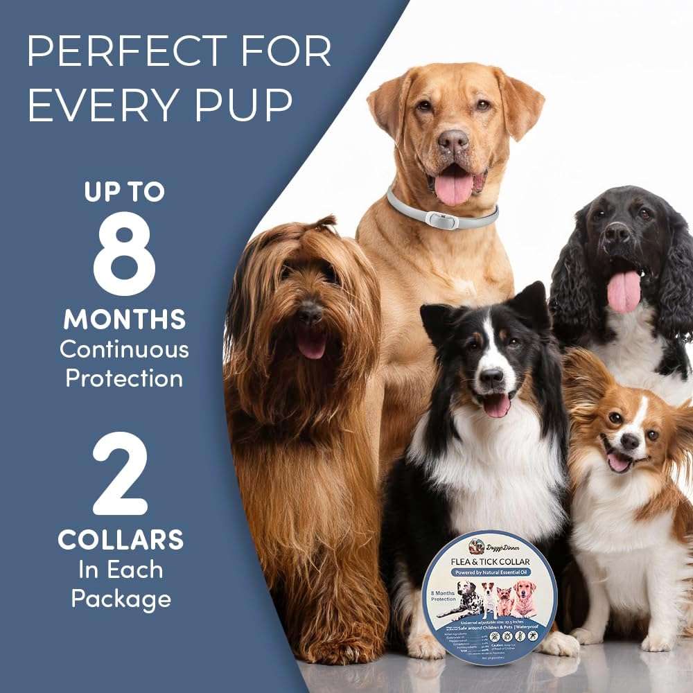 Flea and Tick Collar for Dogs and Cats- Lasts Up to 8-Months Using Natural Plant-Based Oils - Safe for Pets, People and The Environment - 2-Pack Flea Collar for Dogs and Cats - 5