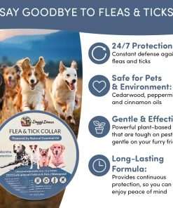 Flea and Tick Collar for Dogs and Cats- Lasts Up to 8-Months Using Natural Plant-Based Oils - Safe for Pets, People and The Environment - 2-Pack Flea Collar for Dogs and Cats - 6