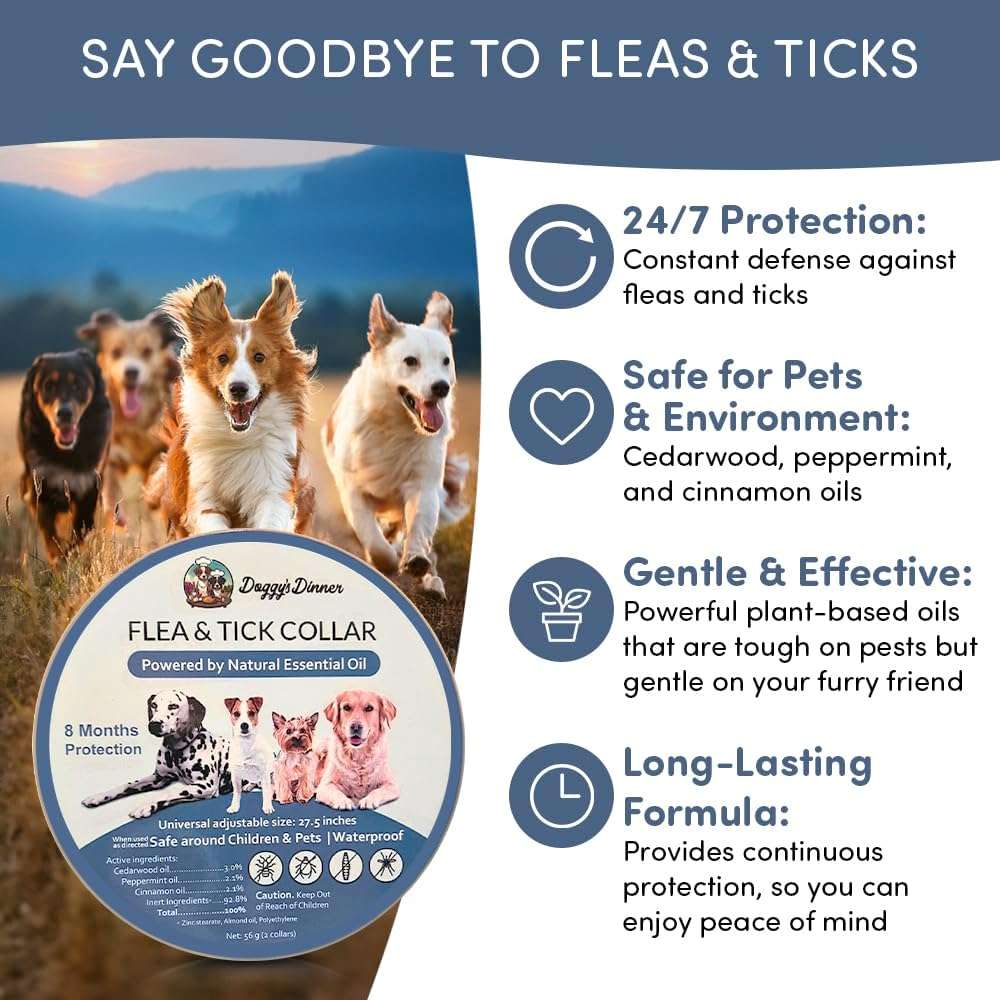 Flea and Tick Collar for Dogs and Cats- Lasts Up to 8-Months Using Natural Plant-Based Oils - Safe for Pets, People and The Environment - 2-Pack Flea Collar for Dogs and Cats - 6