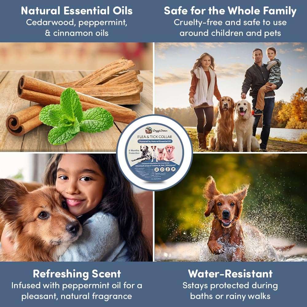 Flea and Tick Collar for Dogs and Cats- Lasts Up to 8-Months Using Natural Plant-Based Oils - Safe for Pets, People and The Environment - 2-Pack Flea Collar for Dogs and Cats - Image 8