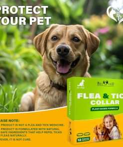Natural Flea & Tick Collar for Dogs - 6 Months Control of Best Prevention & Safe Treatment - Anti Fleas and Ticks Essential Oil Repellent - 8