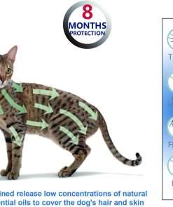 Natural Ingredients Flea Collar for Cats, Safe and Effective Flea and Tick Collar, Waterproof, 8 Months Protection per Collar, Free Comb, One Size Fits All - 3