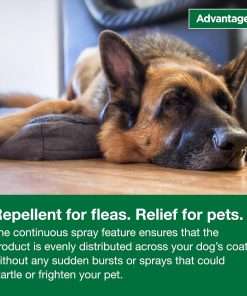 Advantage Dog Flea Treatment Spray - Kills Fleas & Ticks - Dog Flea Spray - 15 oz. - 9