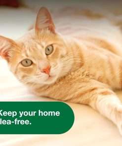 Advantage Household Spot & Crevice Spray - Kills Fleas & Ticks & Bedbugs - 24 oz. - 4