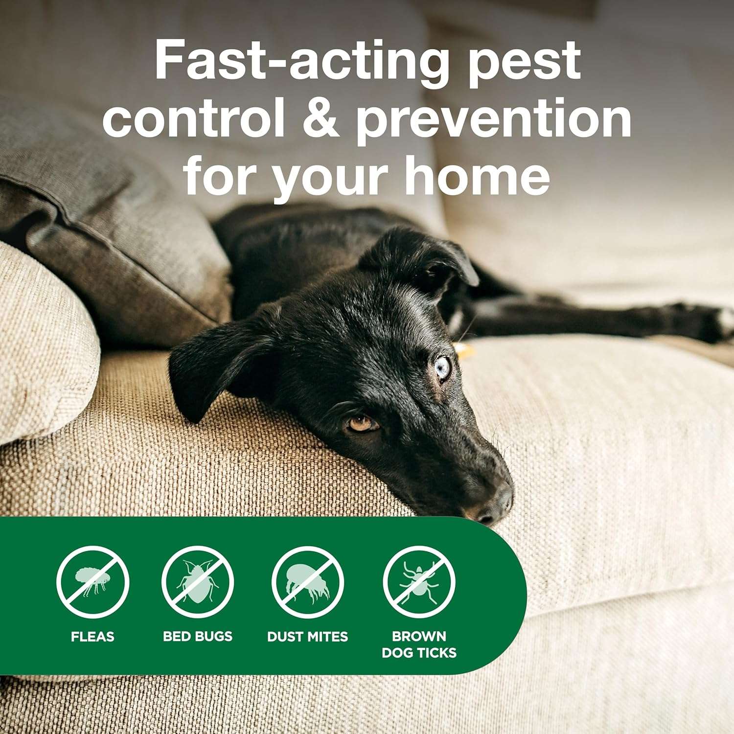 Advantage Household Spot & Crevice Spray - Kills Fleas & Ticks & Bedbugs - 24 oz. - 5