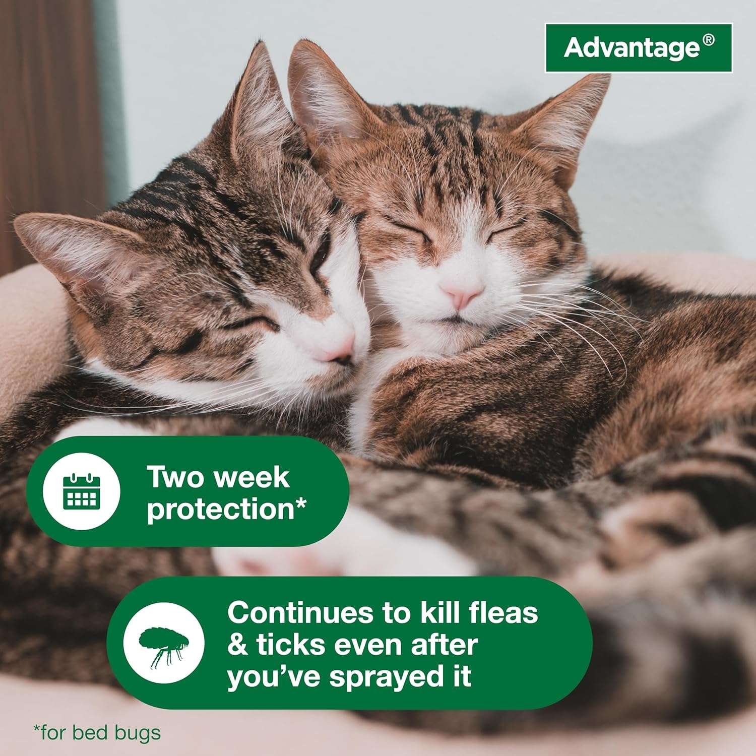 Advantage Household Spot & Crevice Spray - Kills Fleas & Ticks & Bedbugs - 24 oz. - 6