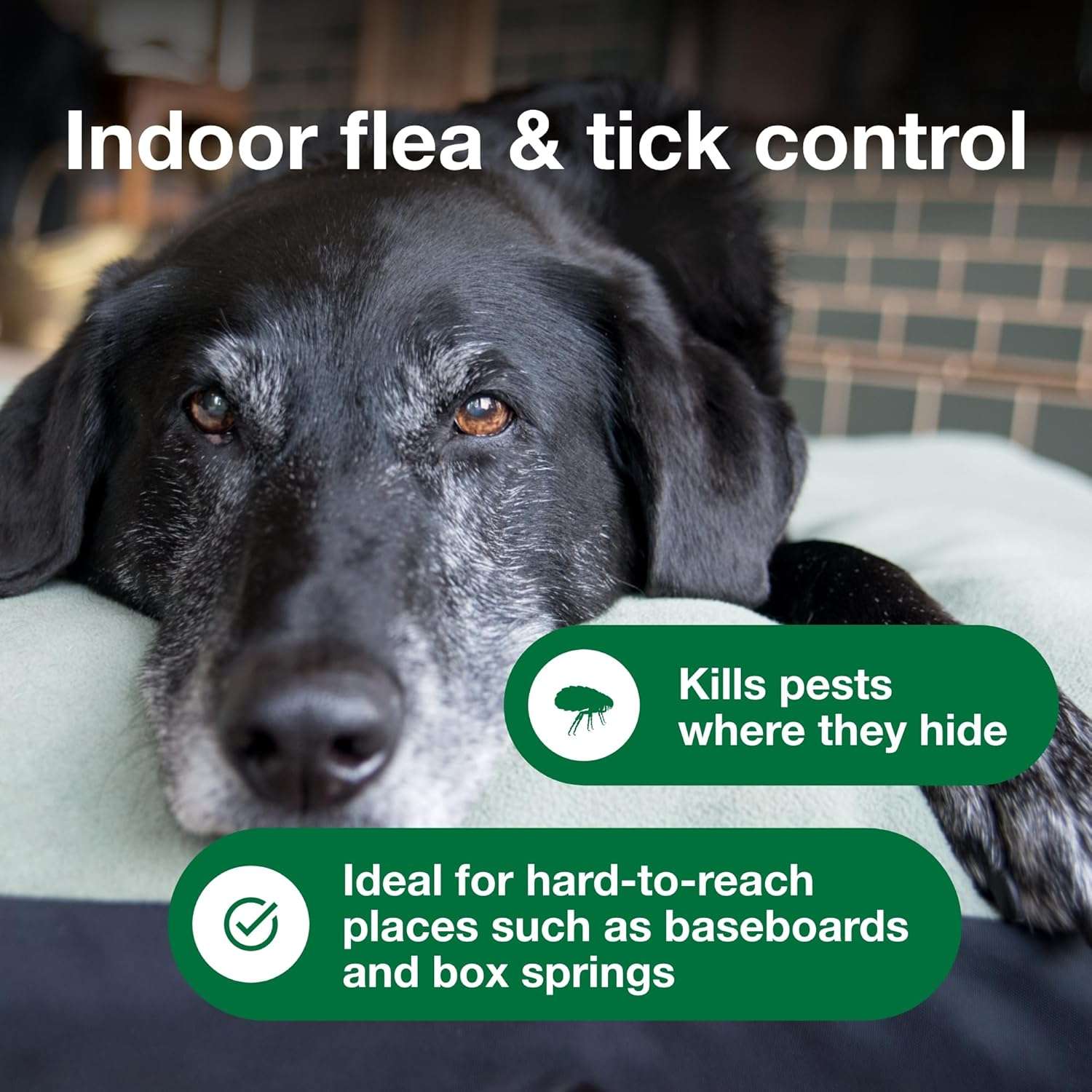 Advantage Household Spot & Crevice Spray - Kills Fleas & Ticks & Bedbugs - 24 oz. - 7