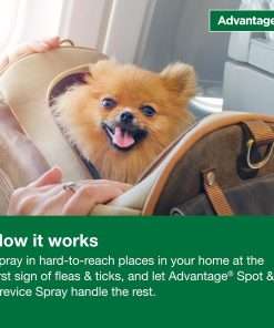 Advantage Household Spot & Crevice Spray - Kills Fleas & Ticks & Bedbugs - 24 oz. - 8