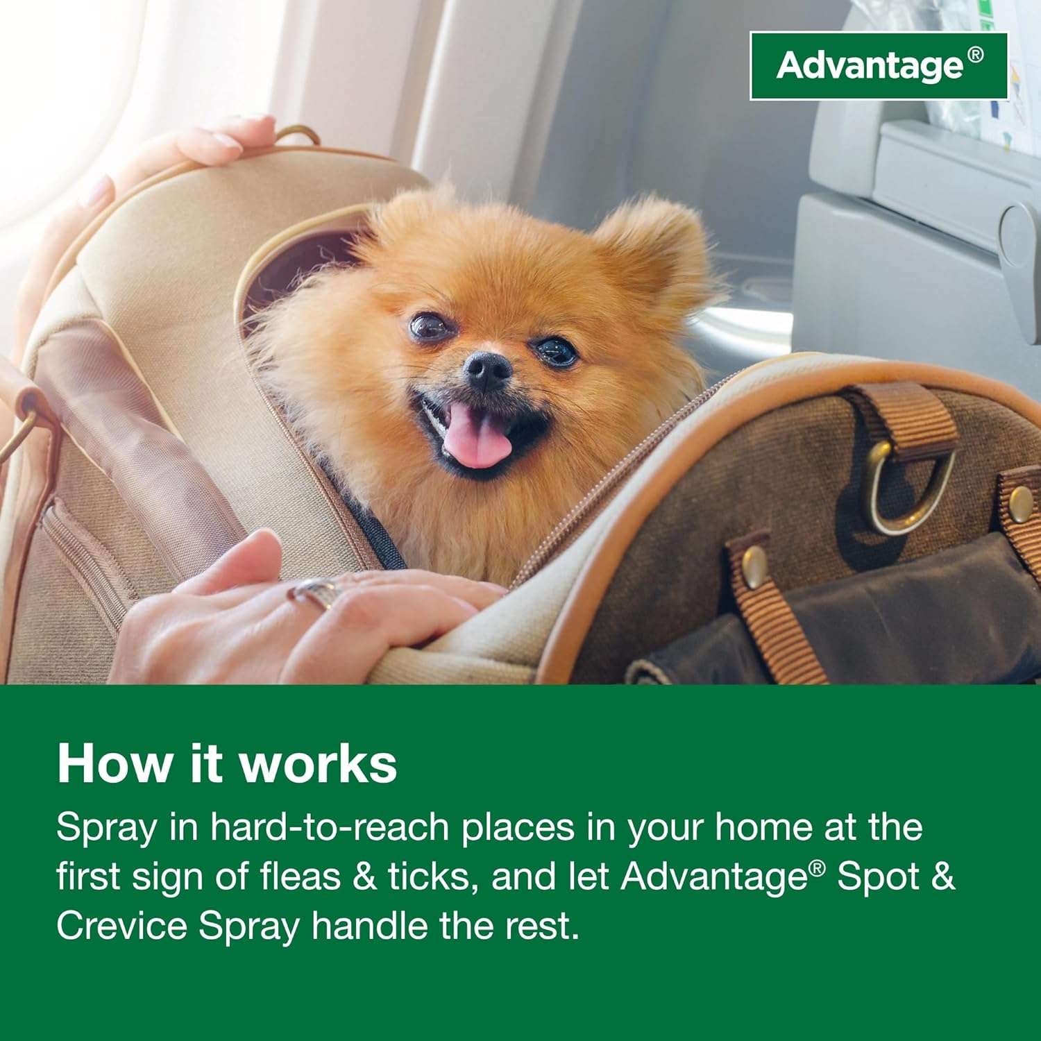 Advantage Household Spot & Crevice Spray - Kills Fleas & Ticks & Bedbugs - 24 oz. - 8