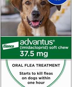 Advantus Dog Advantus Chewable Flea Treatment for Dogs 23 - 110 lbs. - 7 ct. - 1