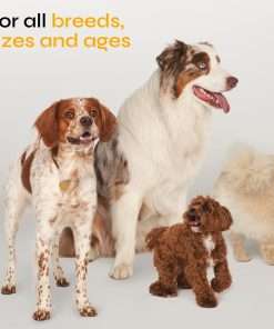 Flea and Tick Prevention for Dogs - Dog Flea Treatment Chews - Immune Support Flea and Tick Chewables for Dogs - Dog Flea & Tick Control Supplement - All Breeds & Ages - 7