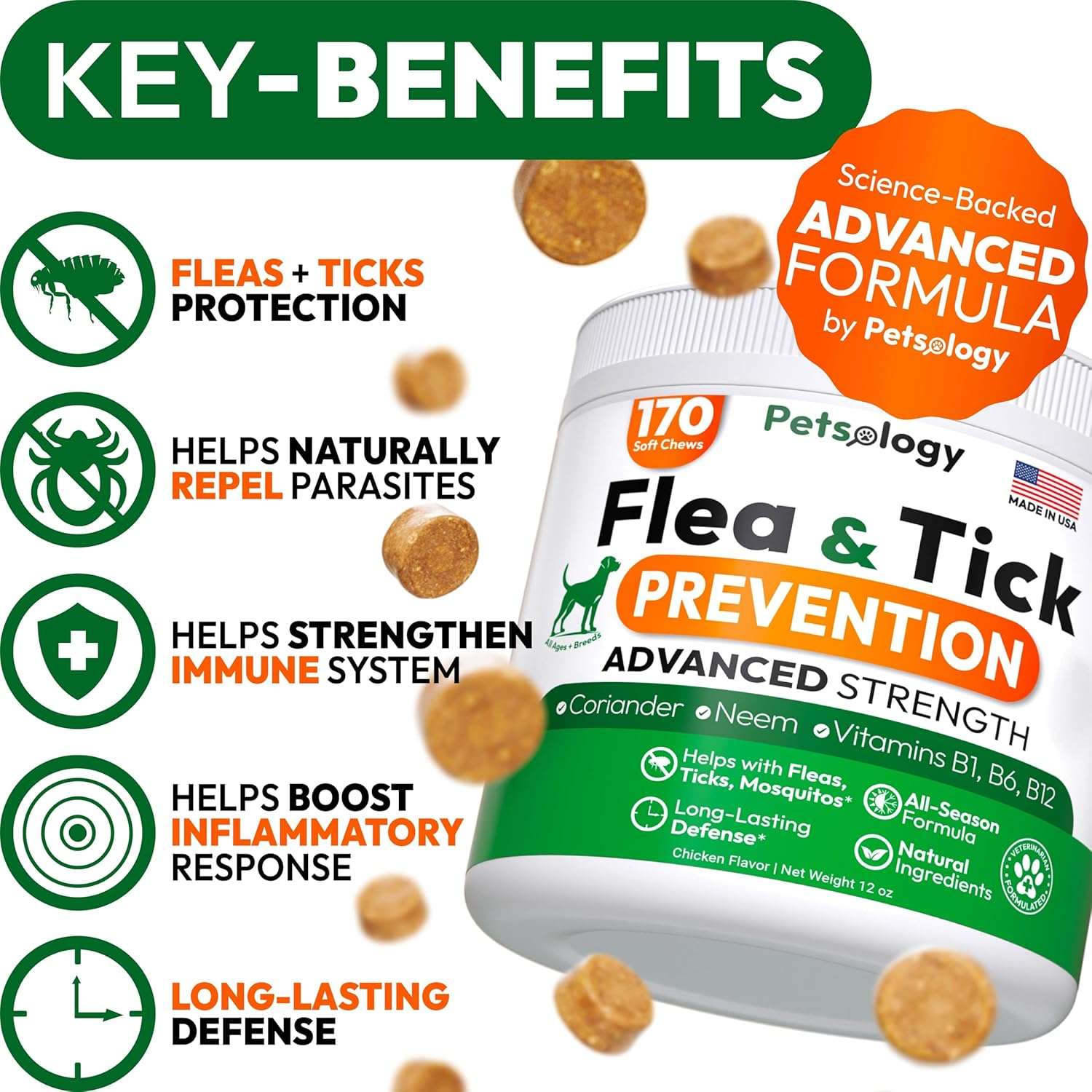 Flea and Tick Prevention for Dogs Pills - Natural Dog Flea & Tick Control - 170 Soft Chewables - Oral Defense Treatment for Dogs Supplement - Vet Formulated Chews - All Breeds & Ages - 2