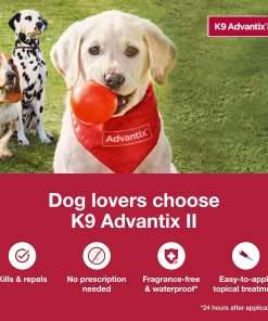 K9 Advantix II Small Dog Vet-Recommended Flea, Tick & Mosquito Treatment & Prevention - Dogs 4-10 lbs. - 1-Mo Supply - 3