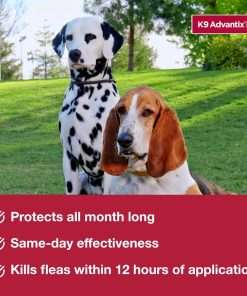 K9 Advantix II Small Dog Vet-Recommended Flea, Tick & Mosquito Treatment & Prevention - Dogs 4-10 lbs. - 1-Mo Supply - 4