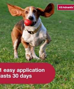 K9 Advantix II Small Dog Vet-Recommended Flea, Tick & Mosquito Treatment & Prevention - Dogs 4-10 lbs. - 1-Mo Supply - 6