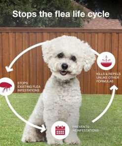 K9 Advantix II Small Dog Vet-Recommended Flea, Tick & Mosquito Treatment & Prevention - Dogs 4-10 lbs. - 1-Mo Supply - 7