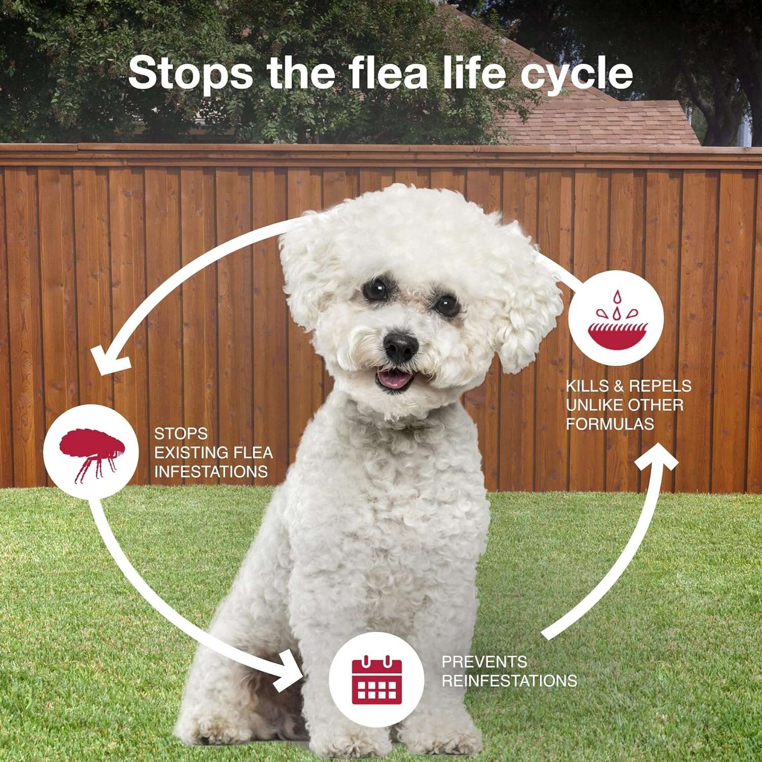 K9 Advantix II Small Dog Vet-Recommended Flea, Tick & Mosquito Treatment & Prevention - Dogs 4-10 lbs. - 1-Mo Supply - 7