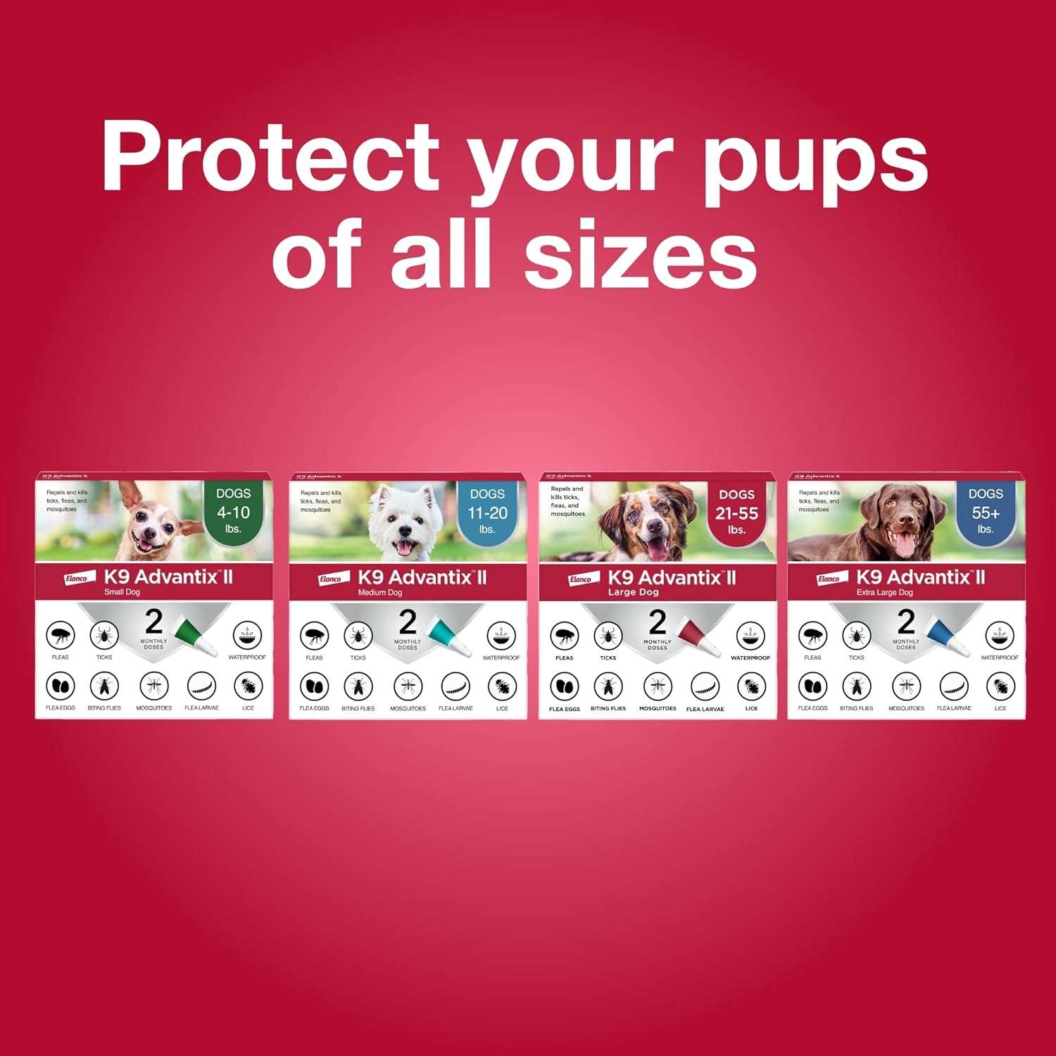 K9 Advantix II Small Dog Vet-Recommended Flea, Tick & Mosquito Treatment & Prevention - Dogs 4-10 lbs. - 1-Mo Supply - 9