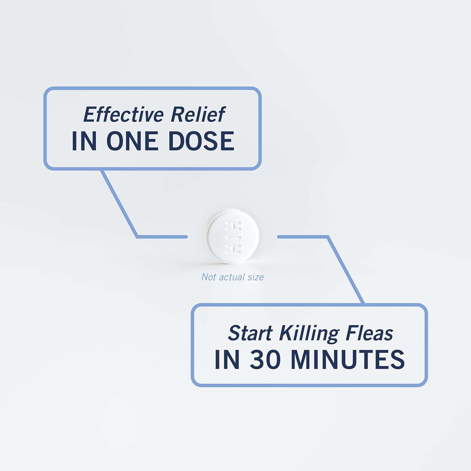 PetArmor CAPACTION (nitenpyram) Oral Flea Treatment for Dogs, Fast Acting Tablets Start Killing Fleas in 30 Minutes, Dogs Over 25 lbs, 6 Doses (Pack of 1) - 6