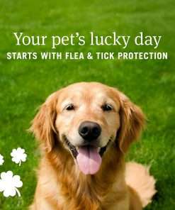 PetArmor Plus Flea and Tick Prevention for Dogs, Dog Flea and Tick Treatment, 3 Doses, Waterproof Topical, Fast Acting, Small Dogs - 2