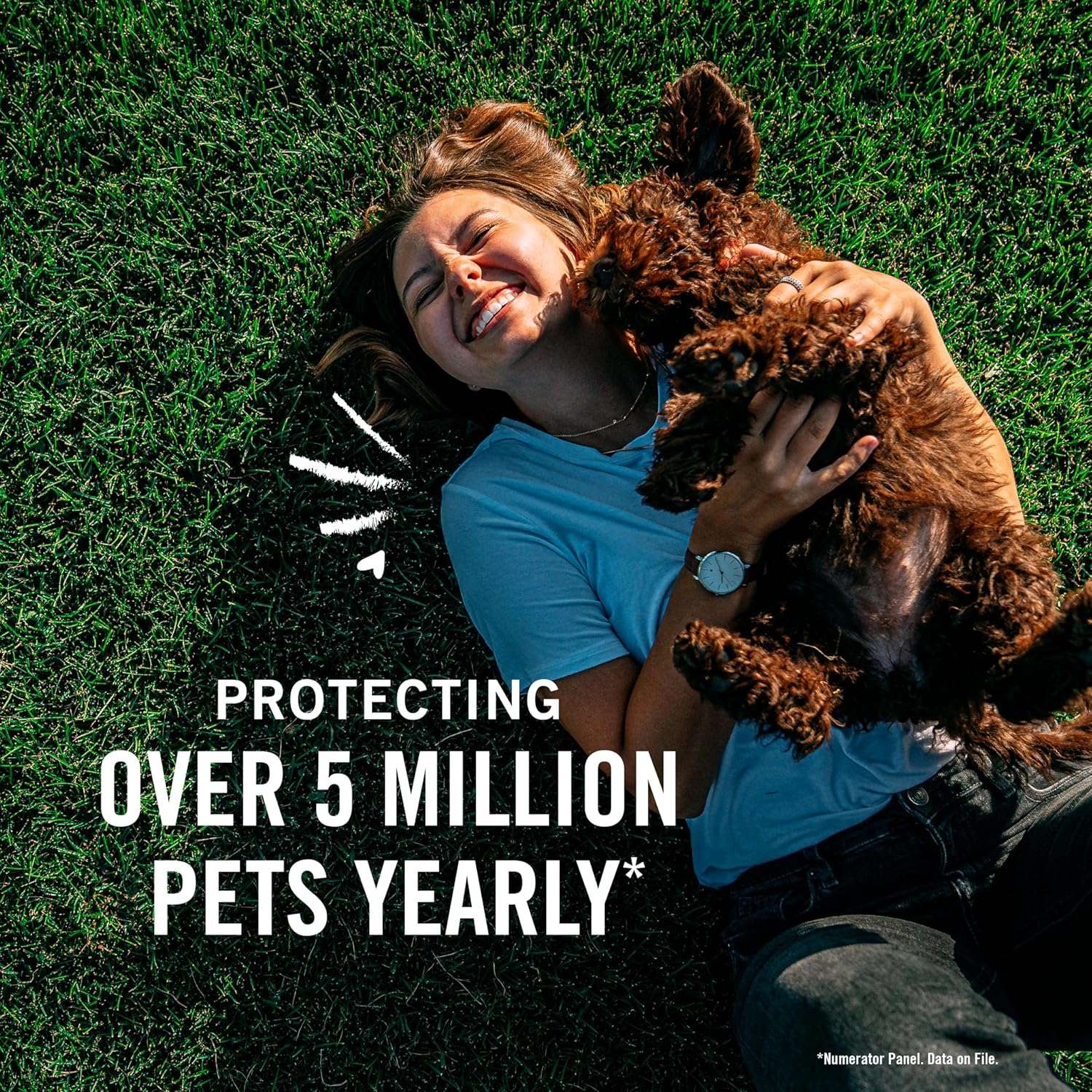 PetArmor Plus Flea and Tick Prevention for Dogs, Dog Flea and Tick Treatment, 3 Doses, Waterproof Topical, Fast Acting, Small Dogs - 5