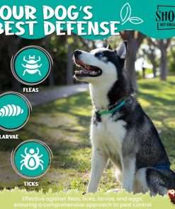 Shoo! Flea & Tick Collar for Dogs - Repels and Prevents - Dual Collary System - Made with Essential Oils - Up to 8 Month Protection - 6