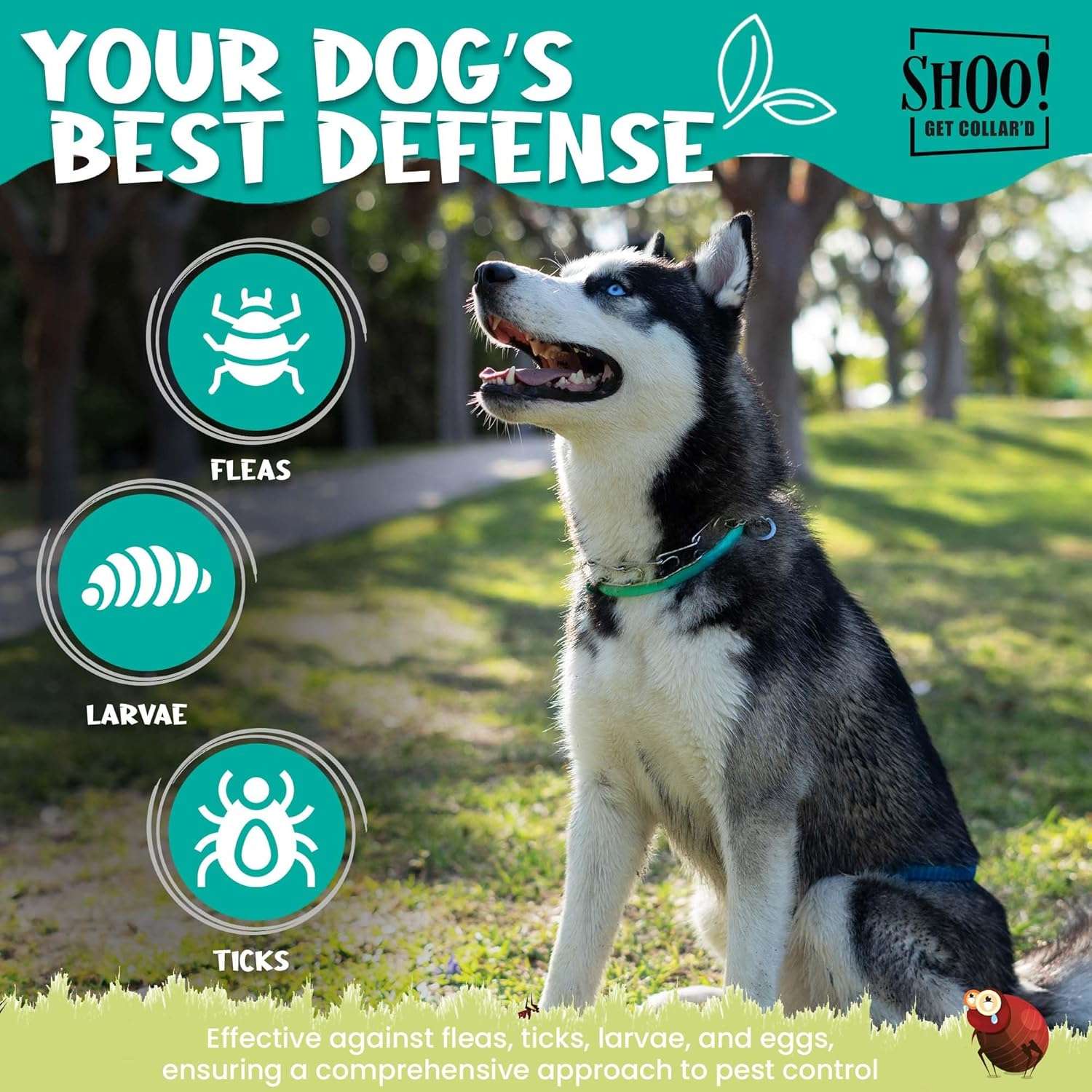 Shoo! Flea & Tick Collar for Dogs - Repels and Prevents - Dual Collary System - Made with Essential Oils - Up to 8 Month Protection - 6