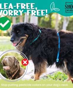 Shoo! Flea & Tick Collar for Dogs - Repels and Prevents - Dual Collary System - Made with Essential Oils - Up to 8 Month Protection - 7