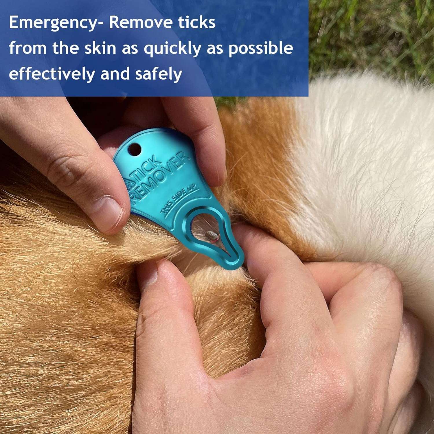 3 Pack Tick Remover Tool Portable, Tick Removal for Pet and Humans, Safe and Reliable, Pain-Free, Essential Tools for Outdoor Activities - 3