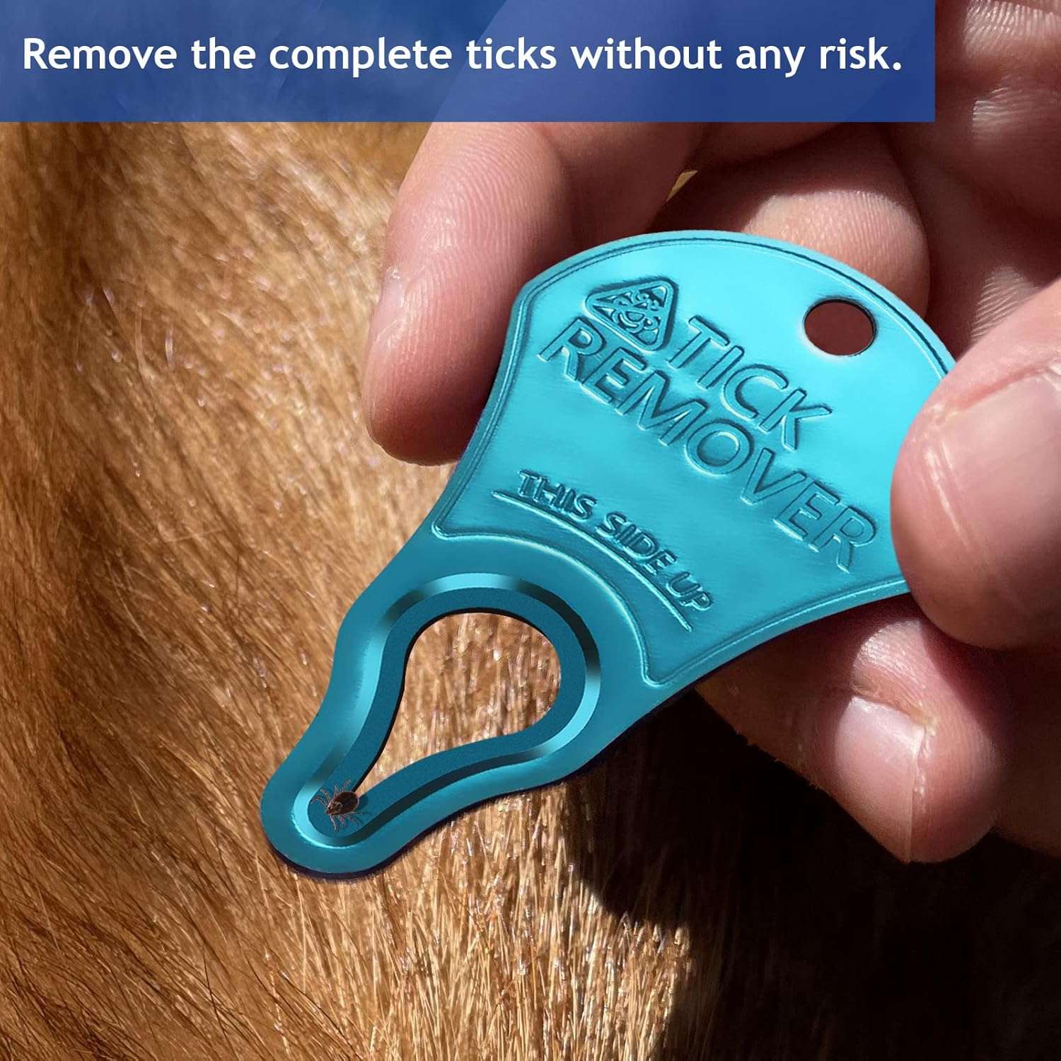 3 Pack Tick Remover Tool Portable, Tick Removal for Pet and Humans, Safe and Reliable, Pain-Free, Essential Tools for Outdoor Activities - 5