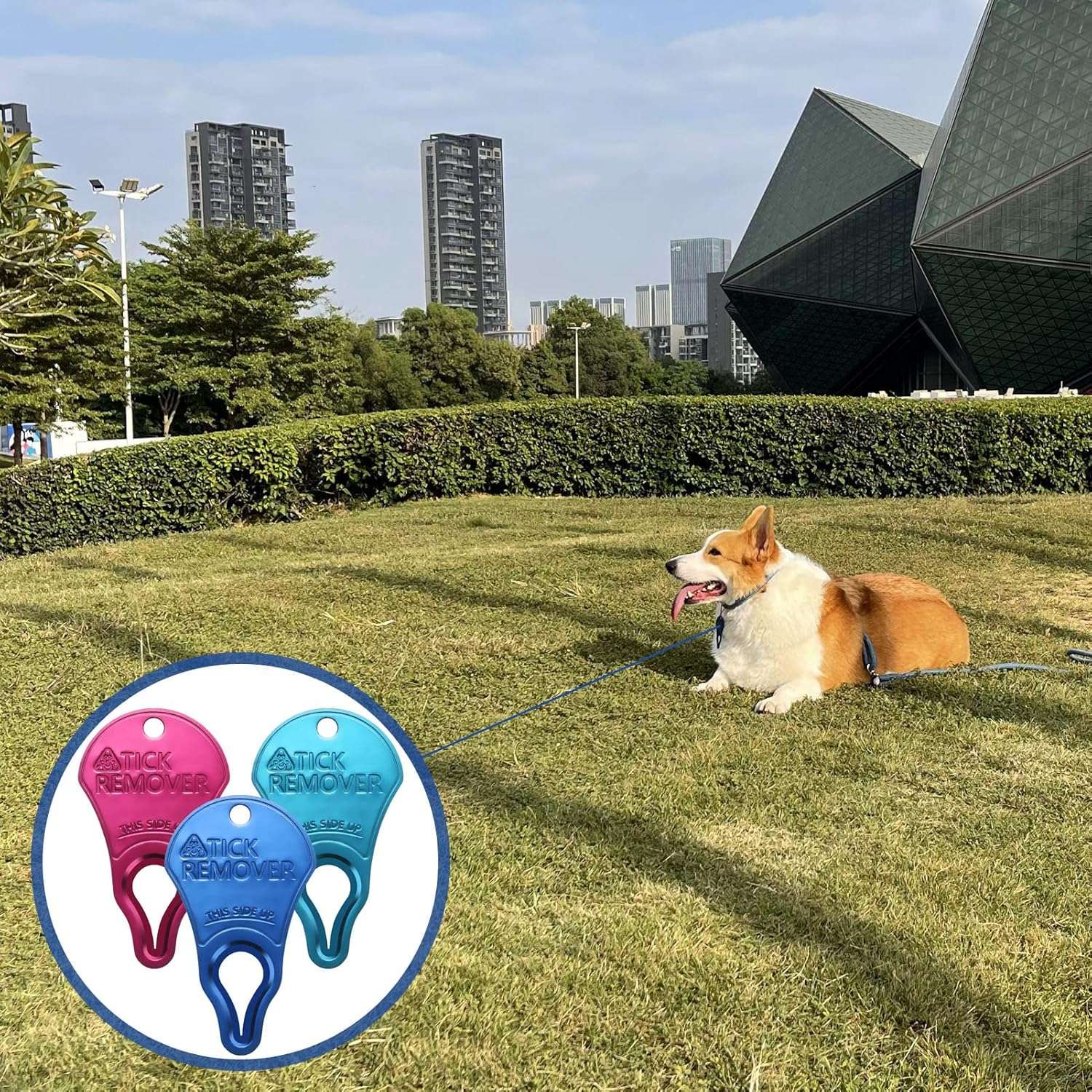 3 Pack Tick Remover Tool Portable, Tick Removal for Pet and Humans, Safe and Reliable, Pain-Free, Essential Tools for Outdoor Activities - 7