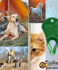 The Original Tick Key - Tick Detaching Device - Portable, Safe and Highly Effective Tick Detaching Tool (Green) - 3