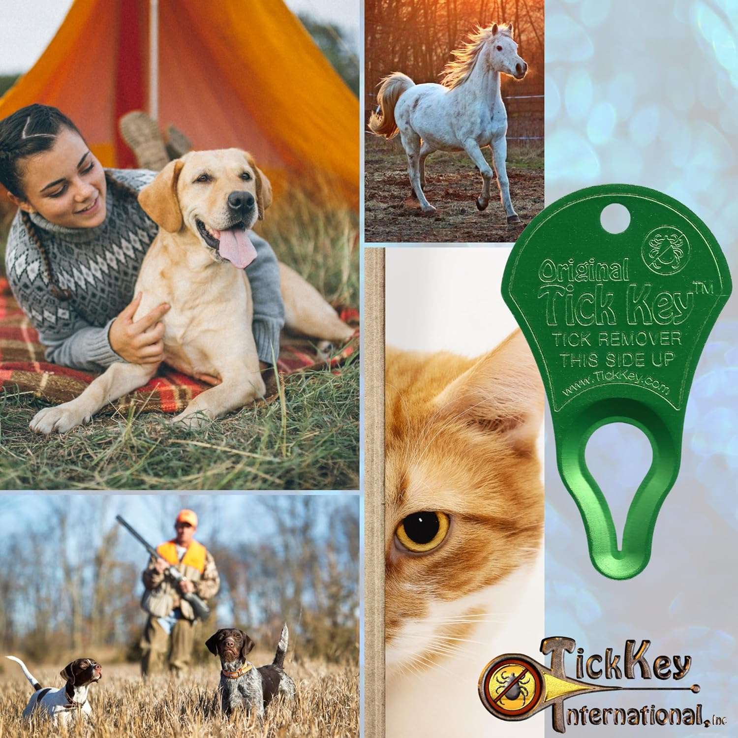 The Original Tick Key - Tick Detaching Device - Portable, Safe and Highly Effective Tick Detaching Tool (Green) - 3