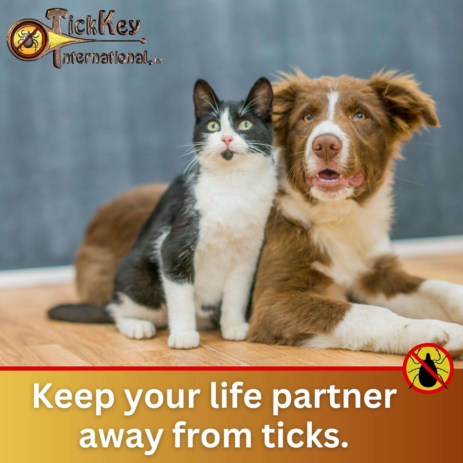 The Original Tick Key - Tick Detaching Device - Portable, Safe and Highly Effective Tick Detaching Tool (Green) - 6