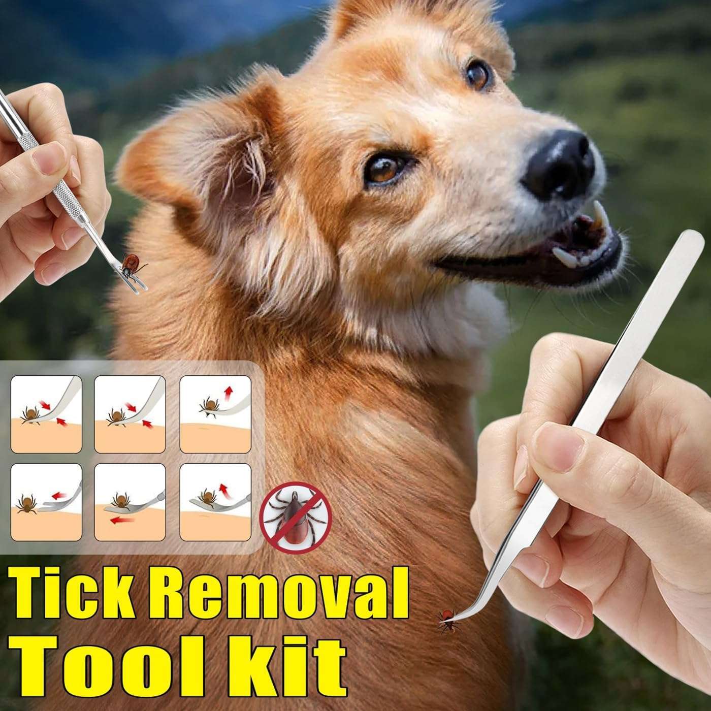Tick Remover Tool Kit, Stainless Steel Tick Tweezers + Remover Tick Key, 4 Pack Quick & Safe Tick Twister Removal Tools for Dogs Cats Humans - 6