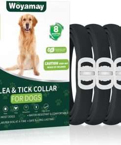 4 Pack Flea Collar for Dogs, 32 Months Flea and Tick Prevention for Dogs, Dog Flea and Tick Treatment, Adjustable Dog Flea and Tick Collar for All Breeds and Size, Black - 1