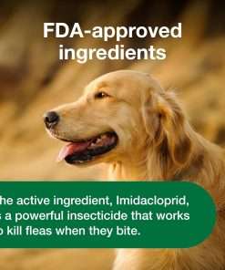 Shoo Tag For Dogs, Shoo Tag For Dogs