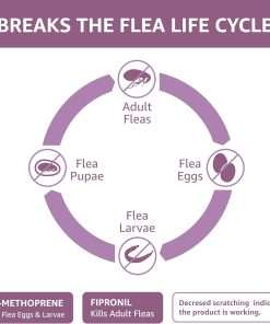 Amazon Brand - Solimo for Dogs Large Dog (45-88 pounds) Flea and Tick Treatment, 6 Doses - 3