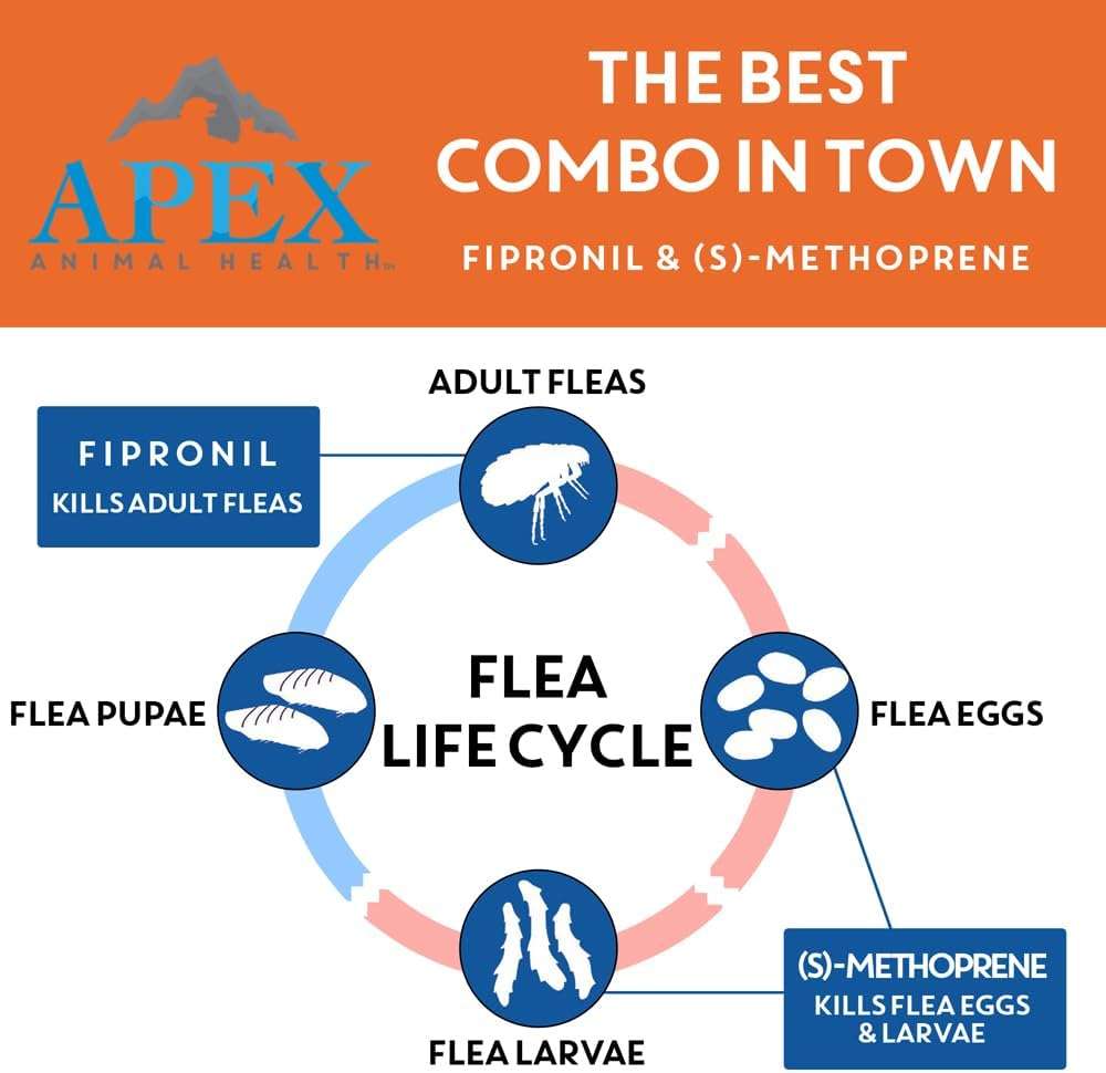 Apex Plus Flea and Tick Prevention for Dogs - Small (5-22 lbs) - 3-Month Supply - Dog Flea and Tick Treatment - 24-Hour Activation, Waterproof, 30-Day Protection - 3