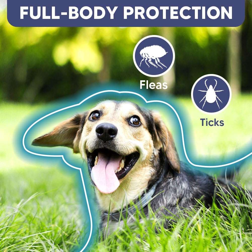 Flea Collar for Dogs, Adjustable Flea and Tick Collar for Large Dogs, 8 Months Protection 2 Count - 2