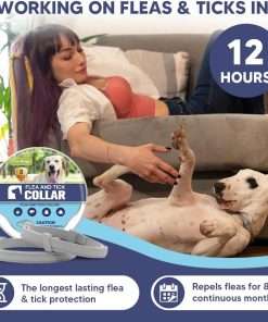 Flea Collar for Dogs, Adjustable Flea and Tick Collar for Large Dogs, 8 Months Protection 2 Count - 5
