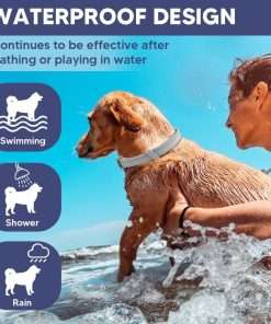 Flea Collar for Dogs, Adjustable Flea and Tick Collar for Large Dogs, 8 Months Protection 2 Count - 6